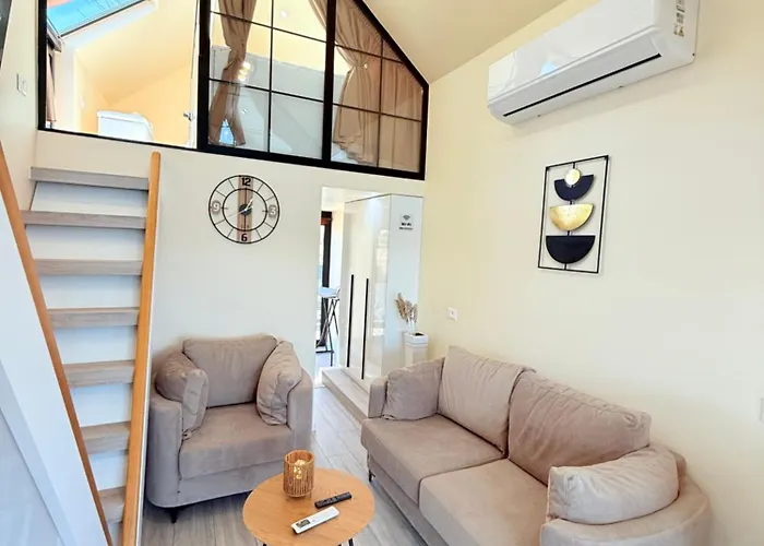 446 Tiny House Zues *